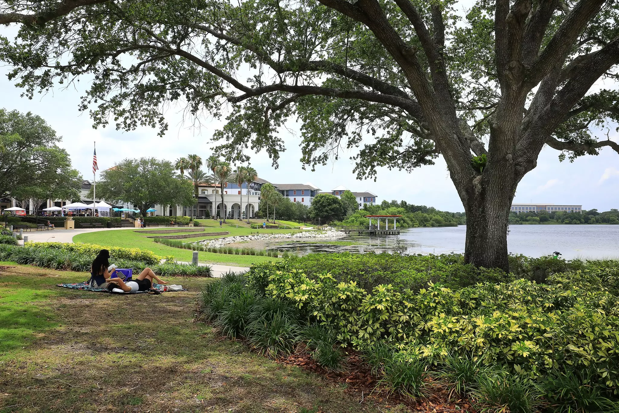 Two women reading and relaxing in the shade under a large tree near a lake.