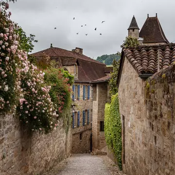 Pink roses blooming along a medieval street in Figeac in the south of France. 