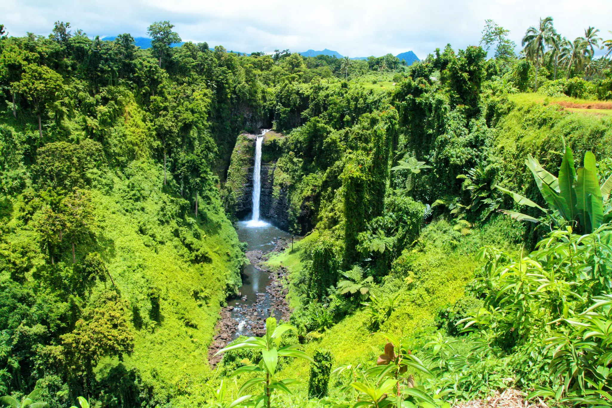 A long cascade of water plunging into a pool surrounded by dense jungle foliage.