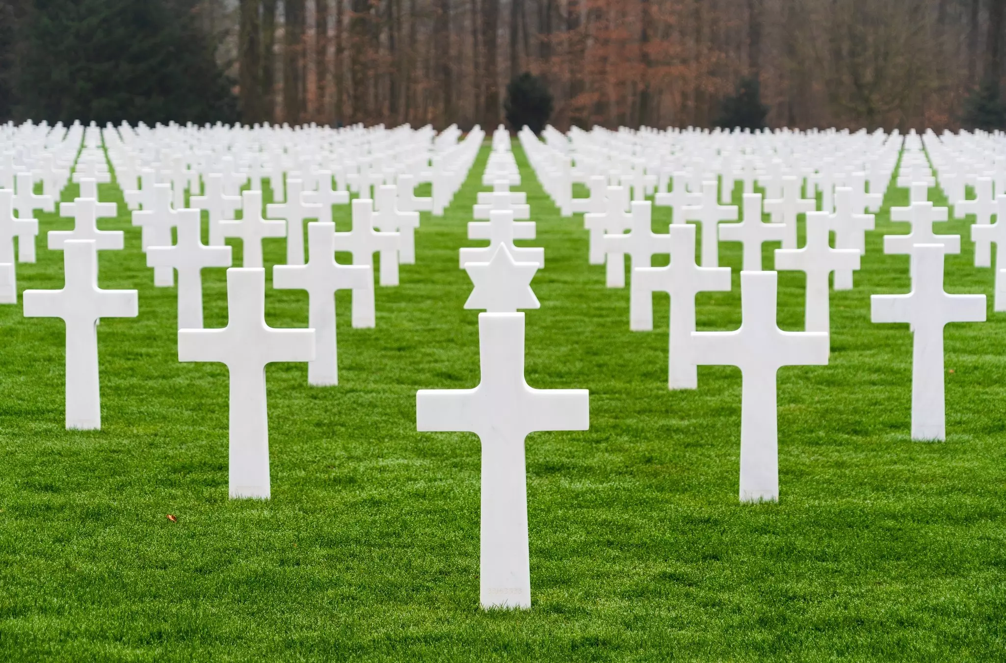 Grave markers in the form of crosses and stars of David are arranged at a military cemetery.