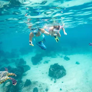 Mother and her little daughter doing snorkeling. Next floating turtle. Koh Tao, Thailand., License Type: media, Download Time: 2025-11-11T17:53:10.000Z, User: katelyn.perry_lonelyplanet, Editorial: false, purchase_order: 65050 - Digital Destinations and Articles, job: wip, client: wip, other: Katelyn Perry