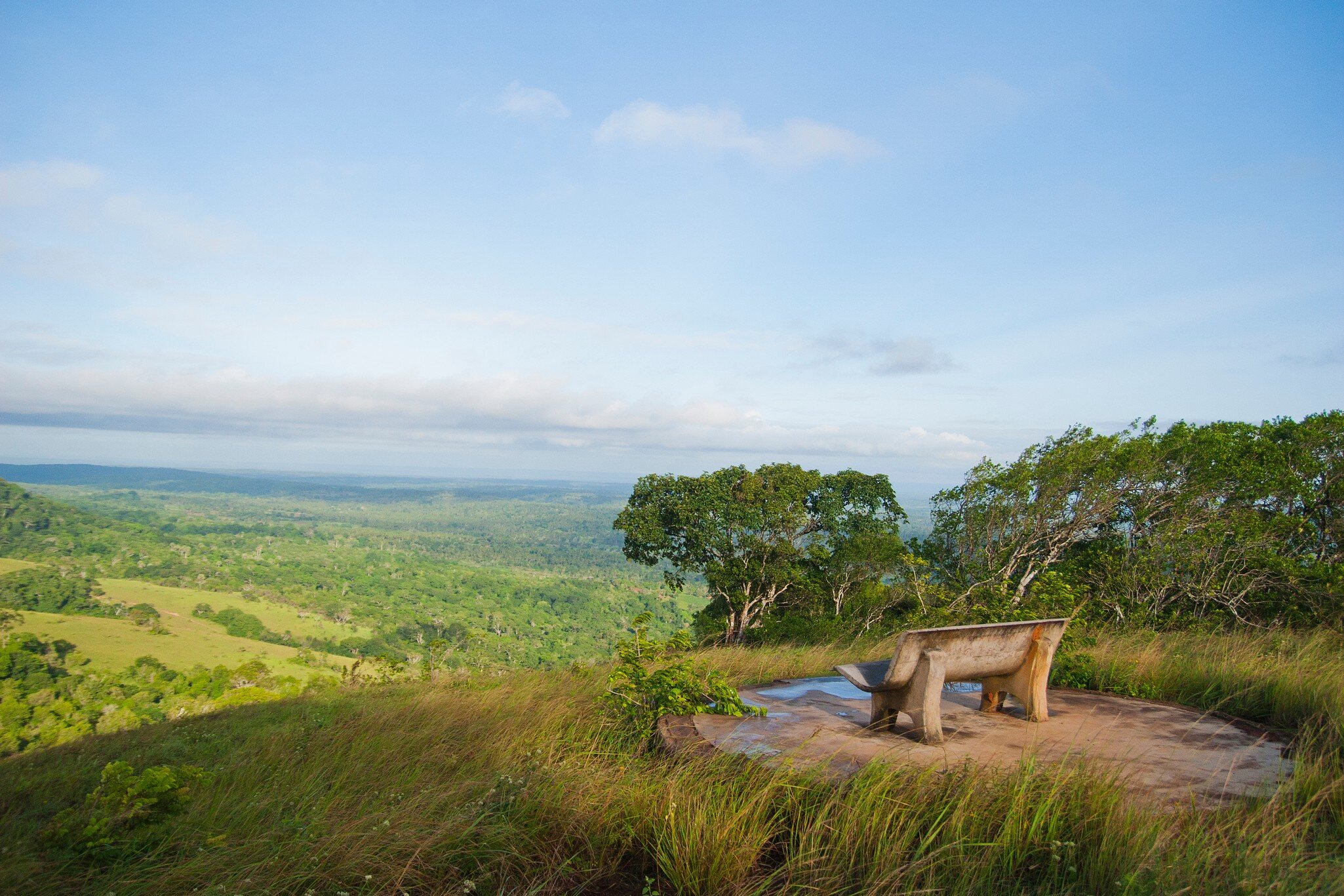 A bench with great view in Shimba Hills National Reserve Kenya; Shutterstock ID 1514323925;