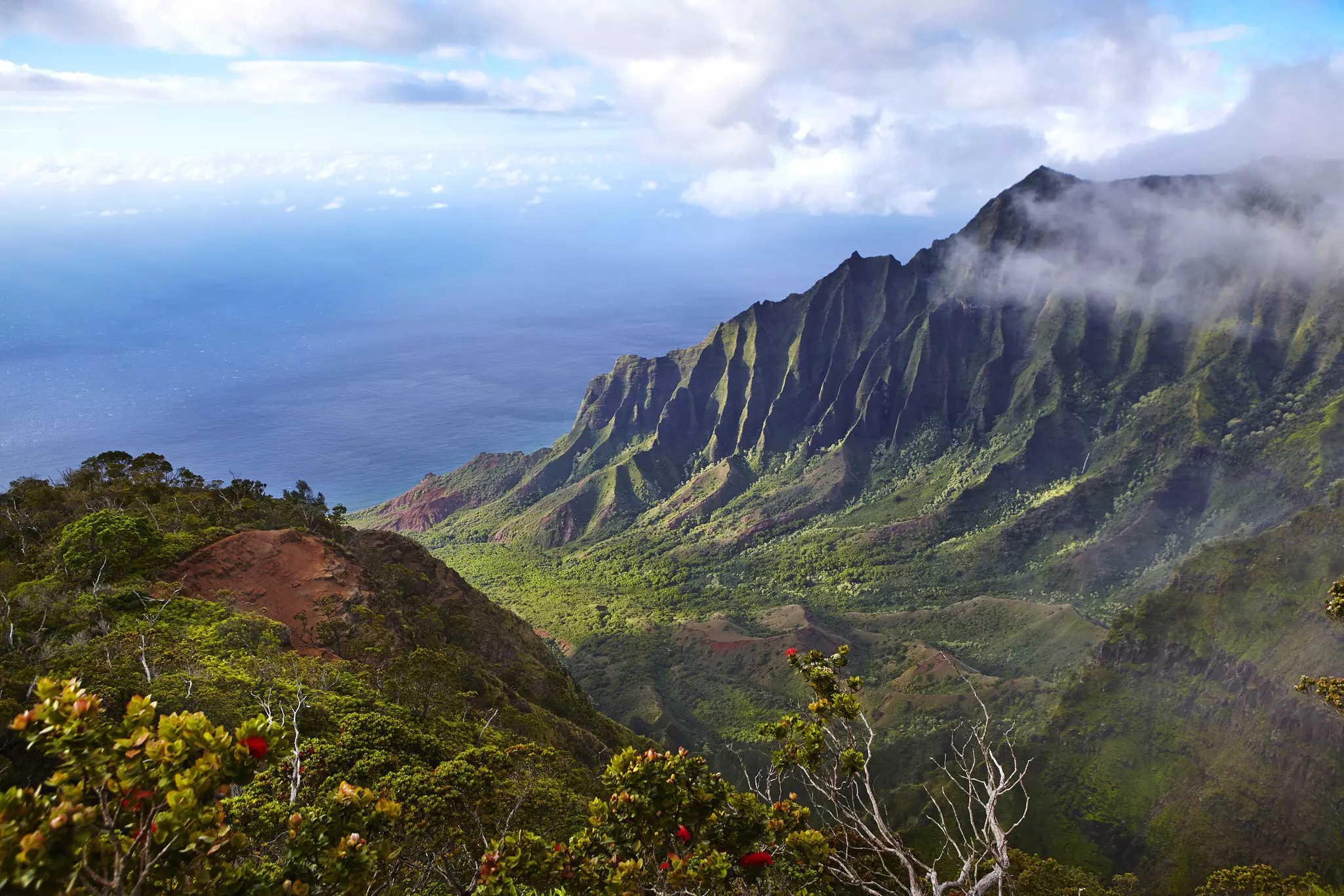 Looking down a green valley with jagged cliffs on the Na Pali Coast in Kauaʻi, Hawaii.