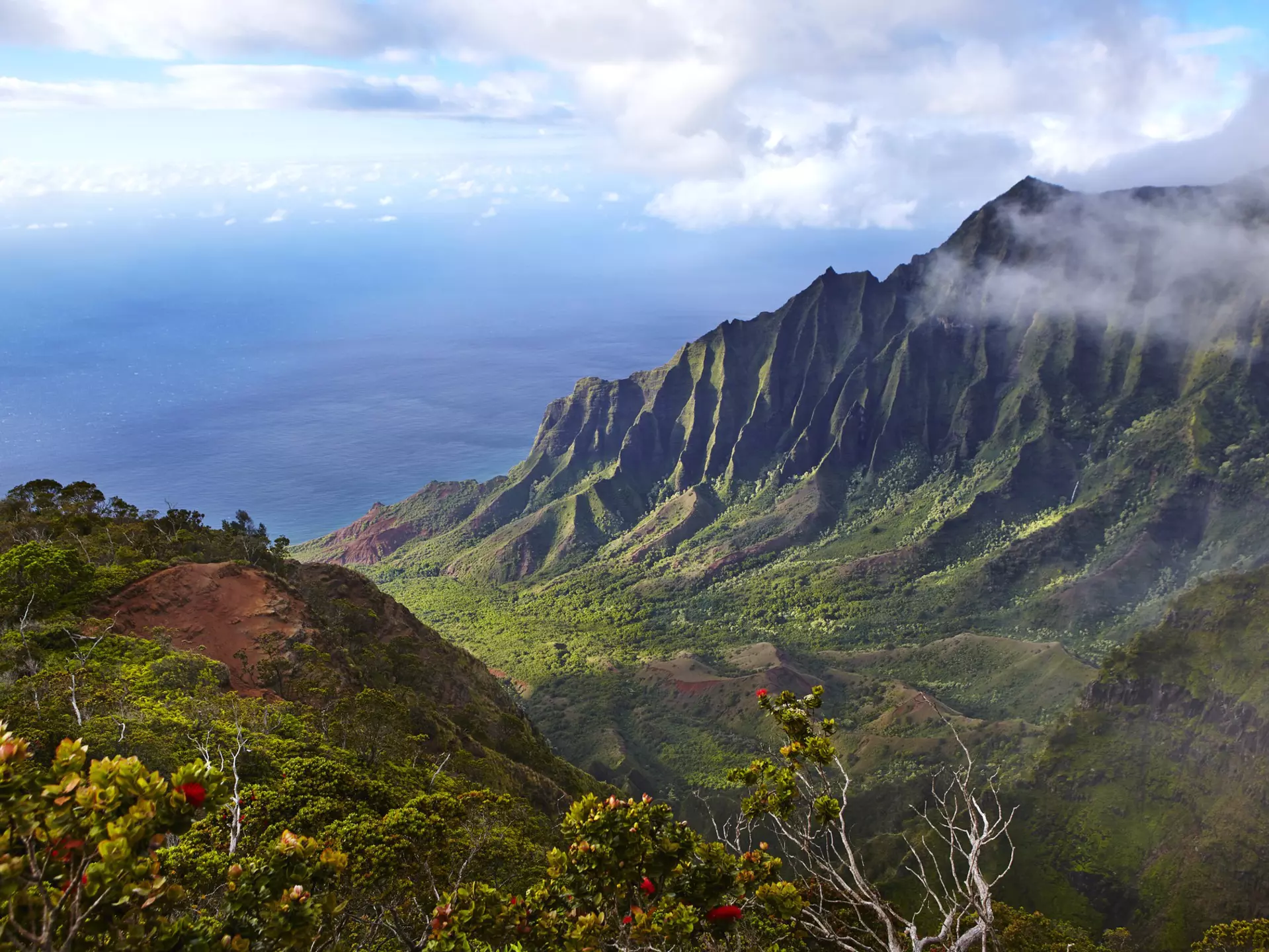 Looking down a green valley with jagged cliffs on the Nāpali Coast in Kauaʻi, Hawaii.