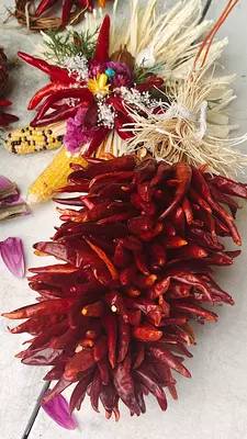 A bundle of dried red chiles.
