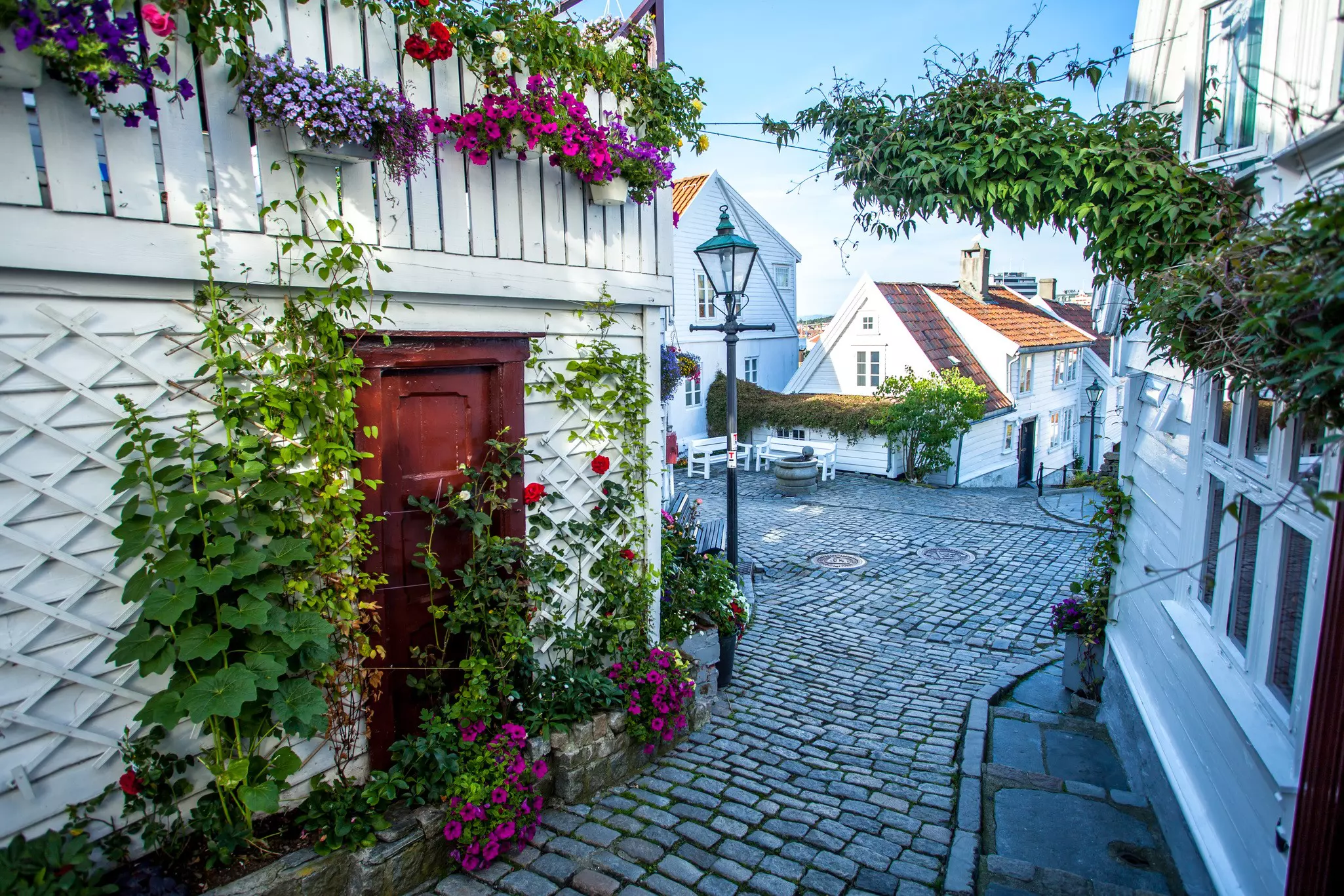 White-painted houses with flowers on display line a cobblestone alley in a historic district of the city of Stavanger, Norway.