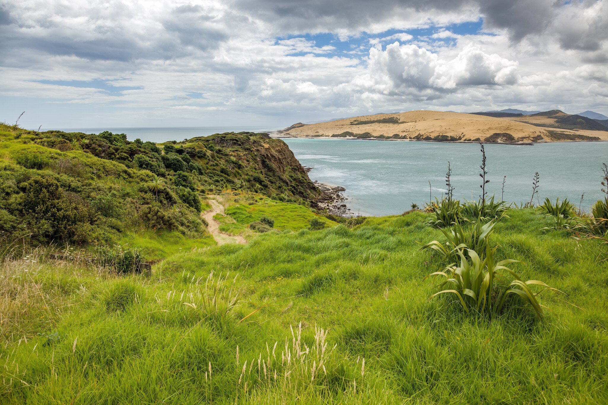 Coastal Walk Arai-Te-Uru Recreation reserve in Omapere in New Zealand; Shutterstock ID 1951851811;