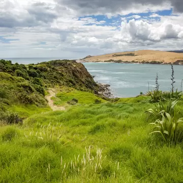 Coastal Walk Arai-Te-Uru Recreation reserve in Omapere in New Zealand; Shutterstock ID 1951851811;