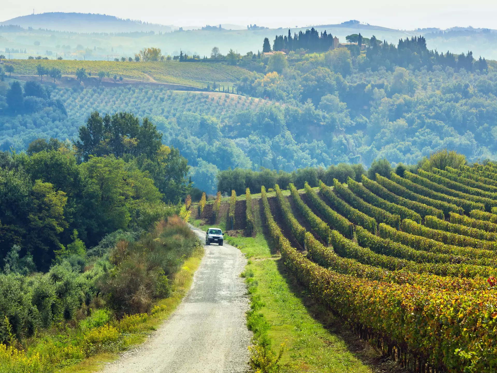 Driving in the Chianti region of Tuscany. Peter Zelei Images/Getty Images