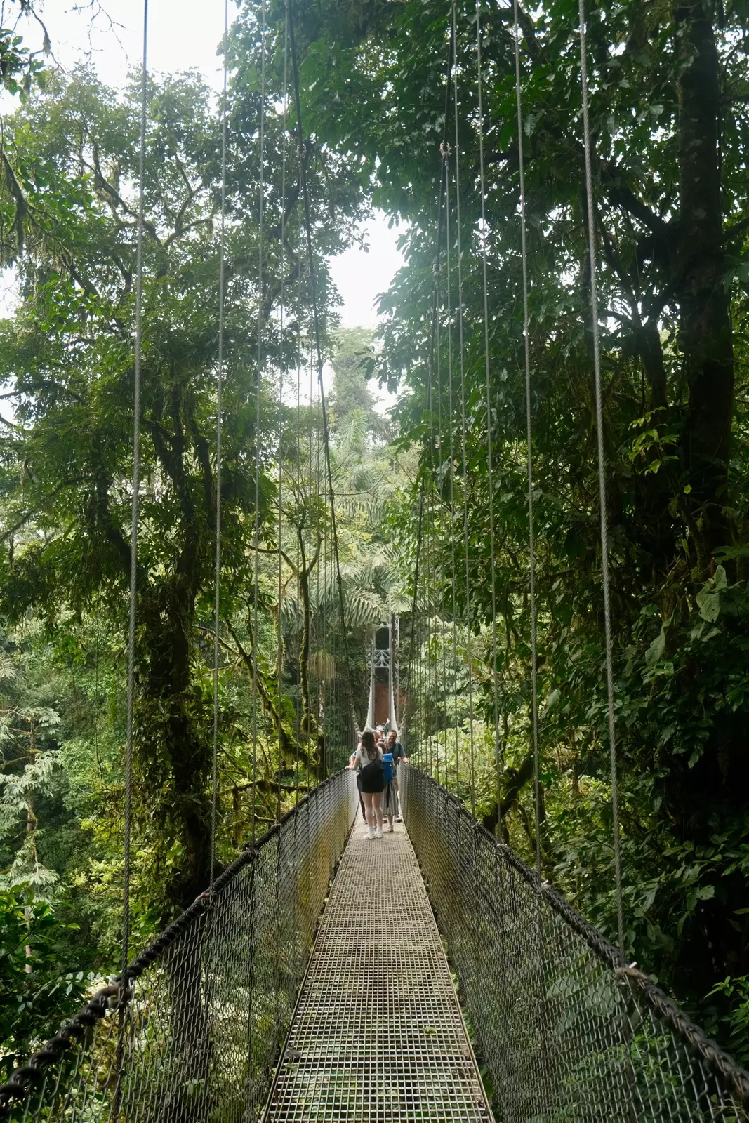 View from one end of a hanging bridge in the jungle, with people walking towards the camera