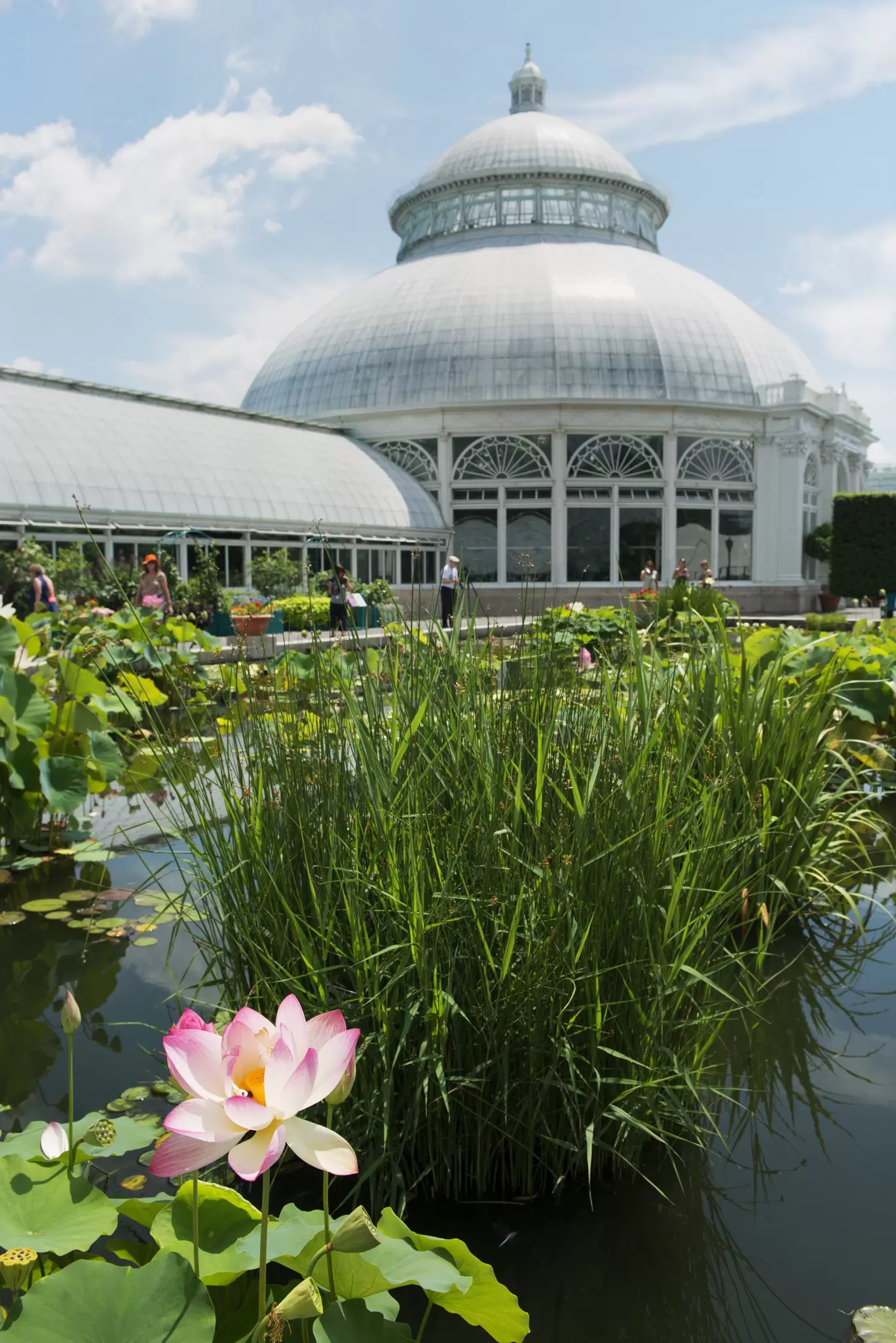 The Conservatory at the New York City Botanical Garden