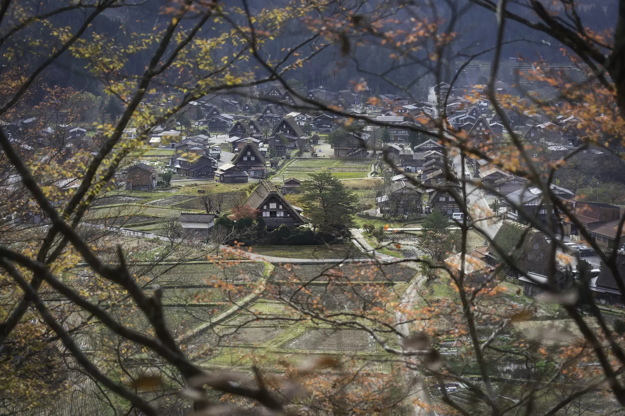 Looking through spring trees at a village of high-peaked, thatched-roof houses on an overcast day.