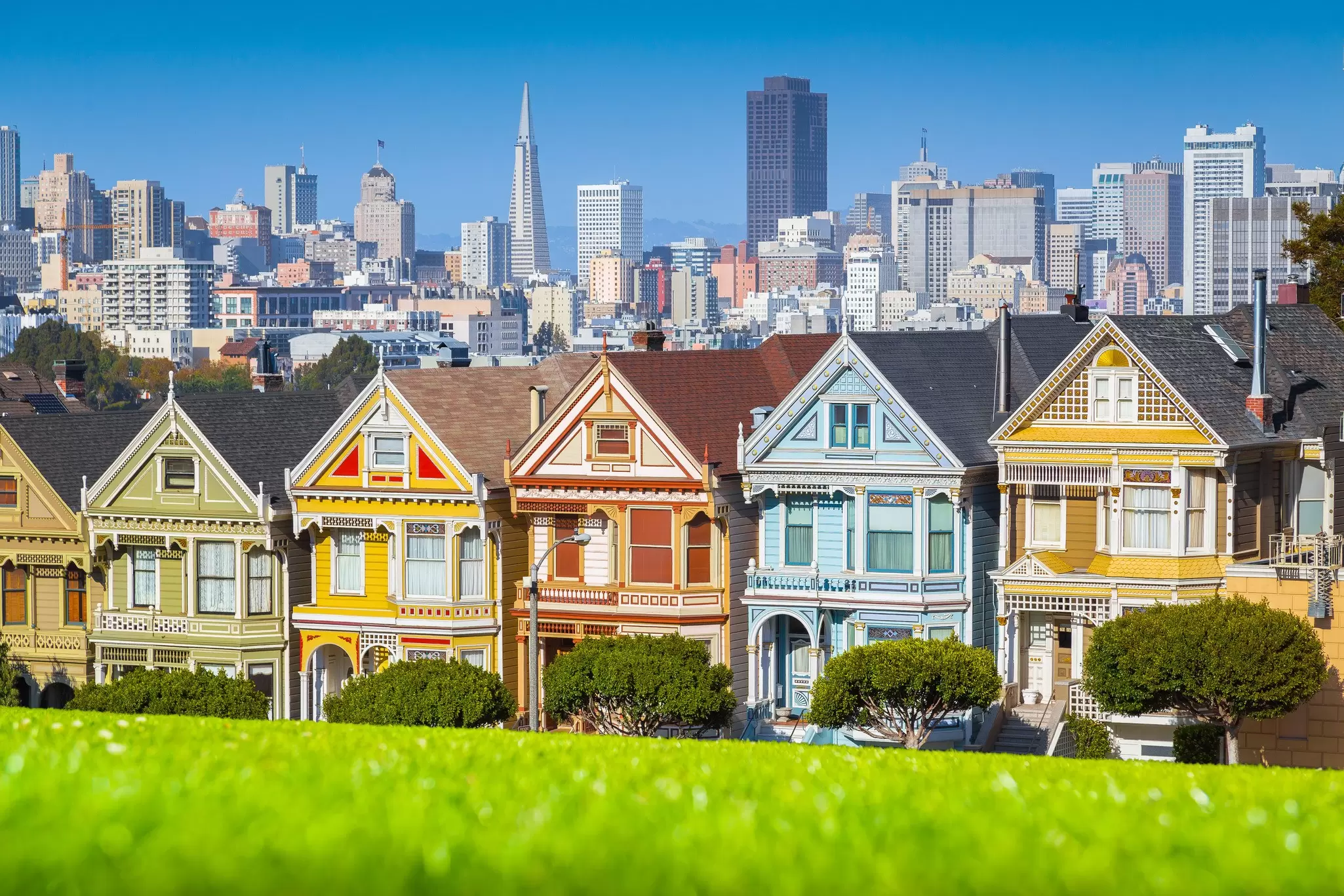 The colorful 'Painted Ladies' Victorian houses at Alamo Square Park in San Francisco