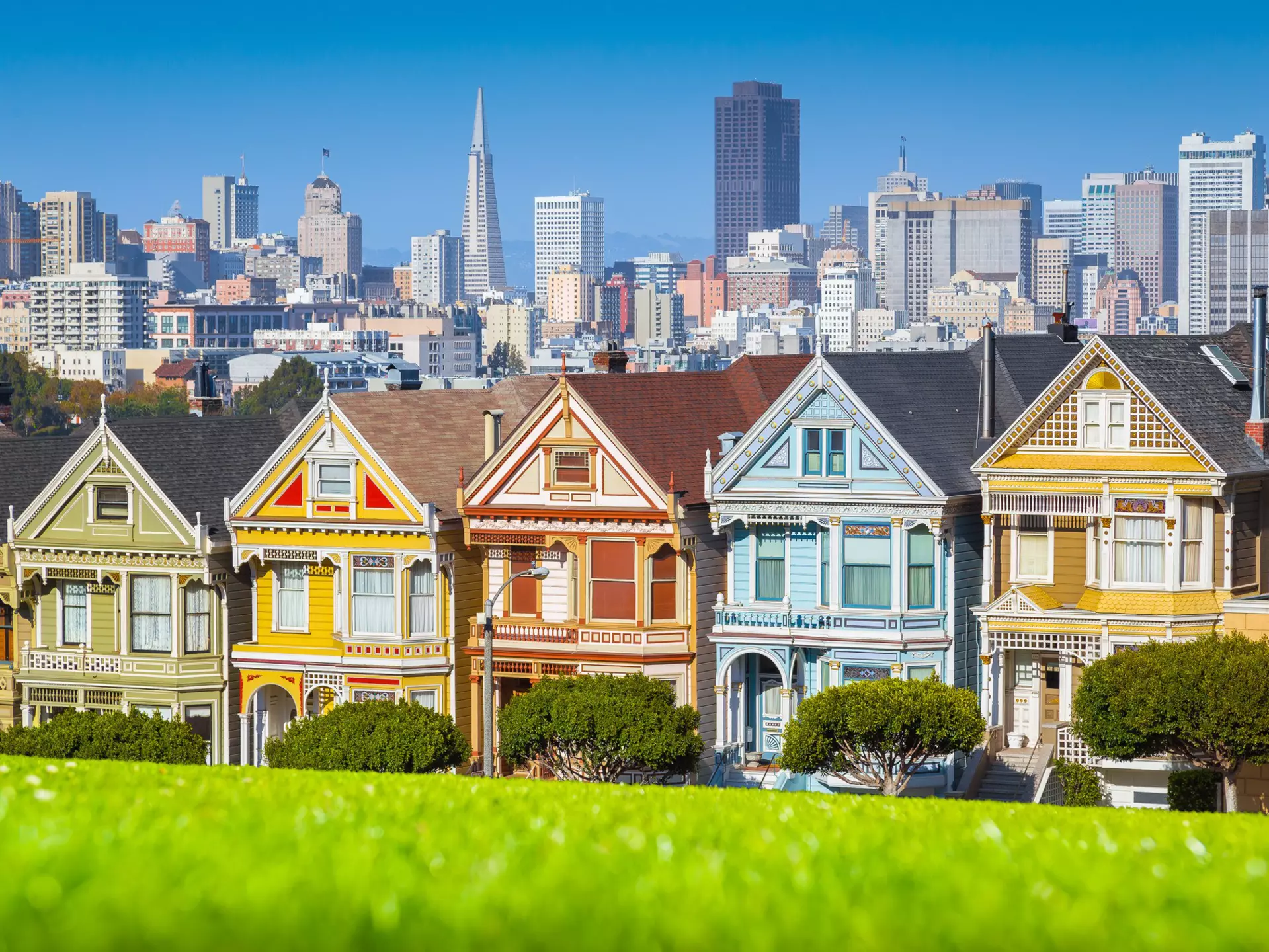 Classic postcard view of famous Painted Ladies, a row of colorful Victorian houses at scenic Alamo Square, with San Francisco skyline in the background on a beautiful sunny day with blue sky in summer
568363738
alamo square, america, american, architecture, buildings, california, city, cityscape, colorful, colors, downtown, facade, grass, green, hill, historic, holidays, homes, houses, landmark, landscape, north america, old, outdoor, painted ladies, panorama, park, residential, roofs, rooftops, row, rowhouses, san francisco, skyline, square, street, tourism, tourist attraction, town, travel, travel destination, trees, united states, united states of america, urban, usa, vacation, victorian, windows, wooden
