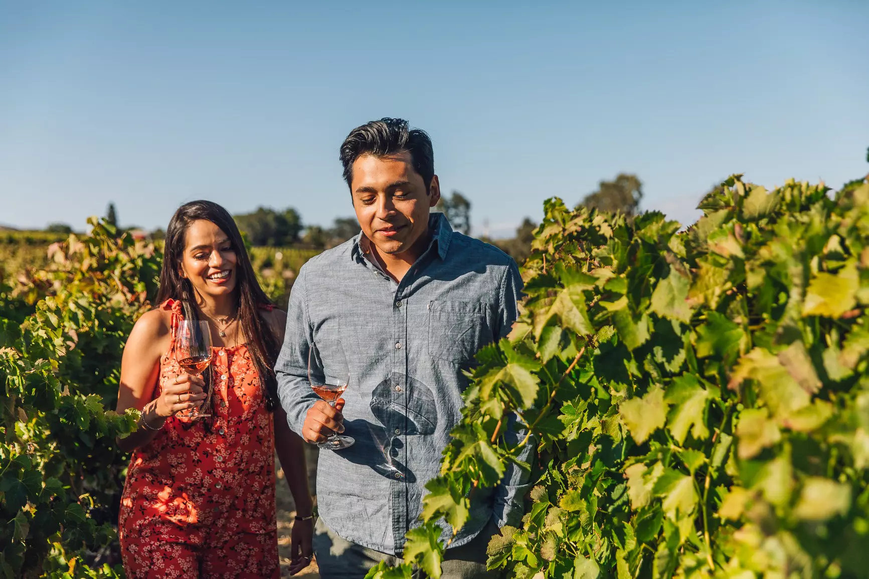 A young couple walk through a vineyard.