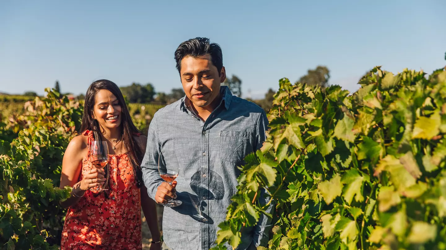 A young couple walk through a vineyard.