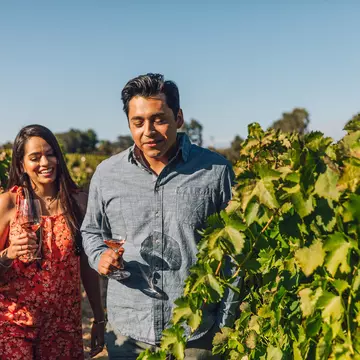 A young couple walk through a vineyard.