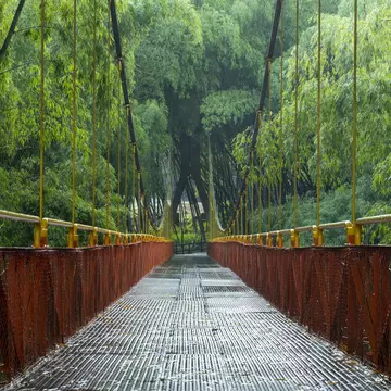 Bridge inside tropical rainforest in Parque del Café, Quindio department, Armenia city, Colombia