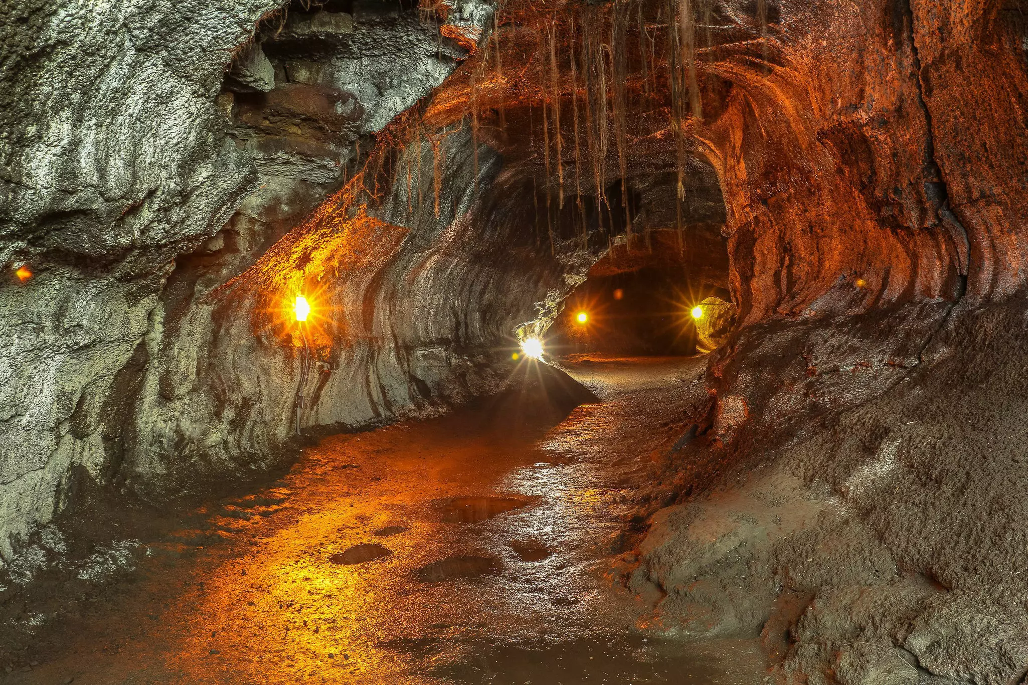 A lighted cave interior with lichen hanging from above.