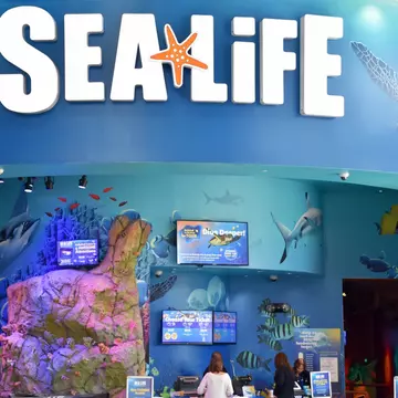 ORLANDO, FL – NOV 24: Sea Life Aquarium at ICON Park in Orlando, Florida, as seen on Nov 24, 2019.  It has family-friendly exhibits with a variety of sea creatures.; Shutterstock ID 1735080233; your: Bridget Brown; gl: 65050; netsuite: Online Edit...