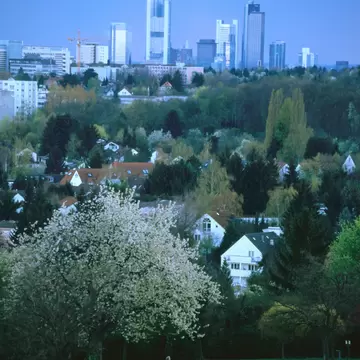 A family walks along a park path past a white-blossomed tree, with Frankfurt's high-rise towers on the skyline behind.