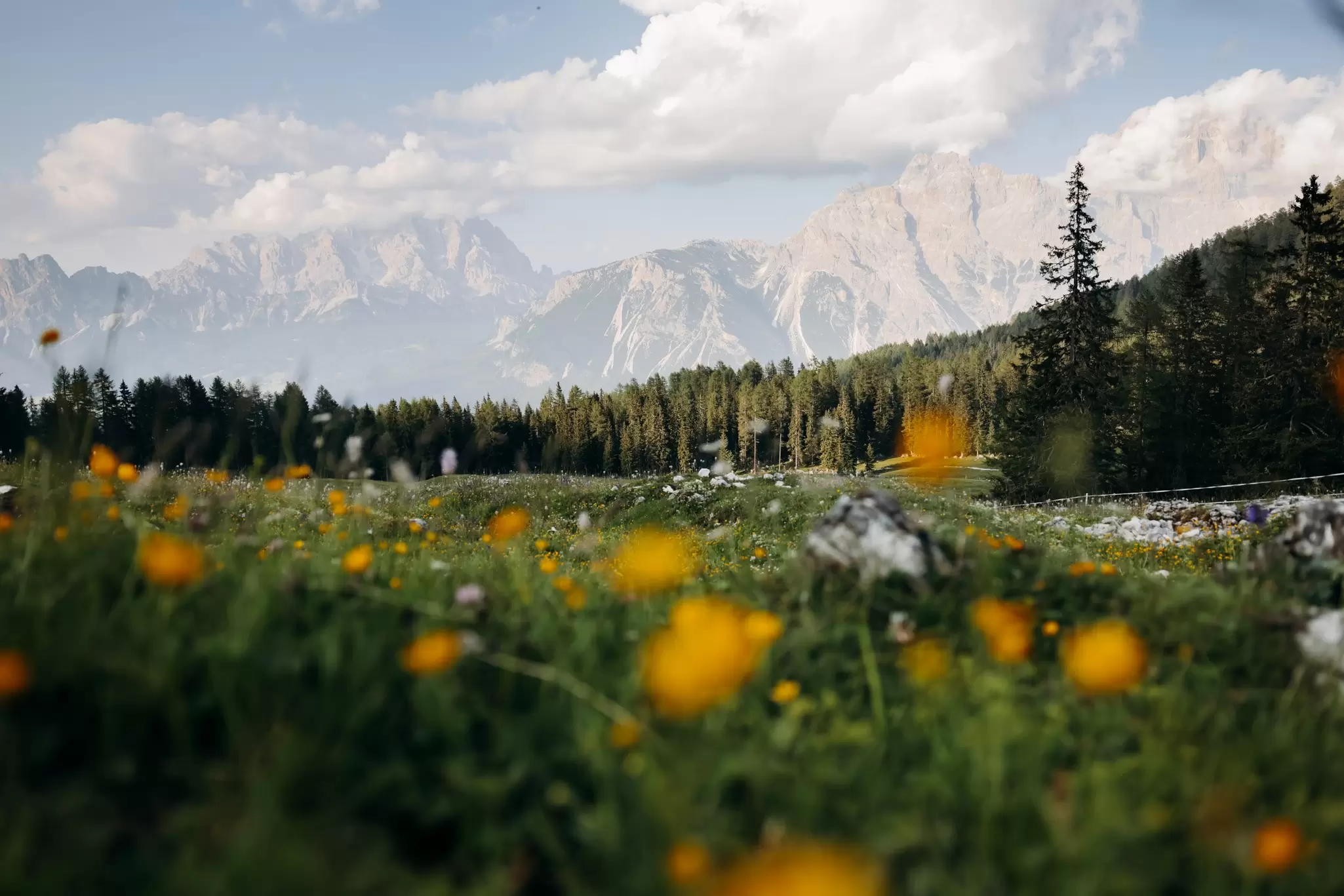 The Dolomites, near Cortina d'Ampezzo, Italy. Camilla Ferrari for Lonely Planet