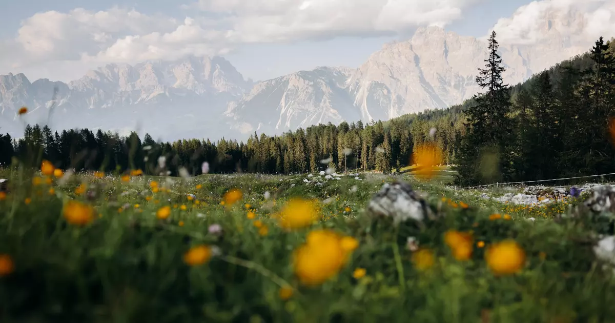 Where to hike when: 24 hikes for 2026