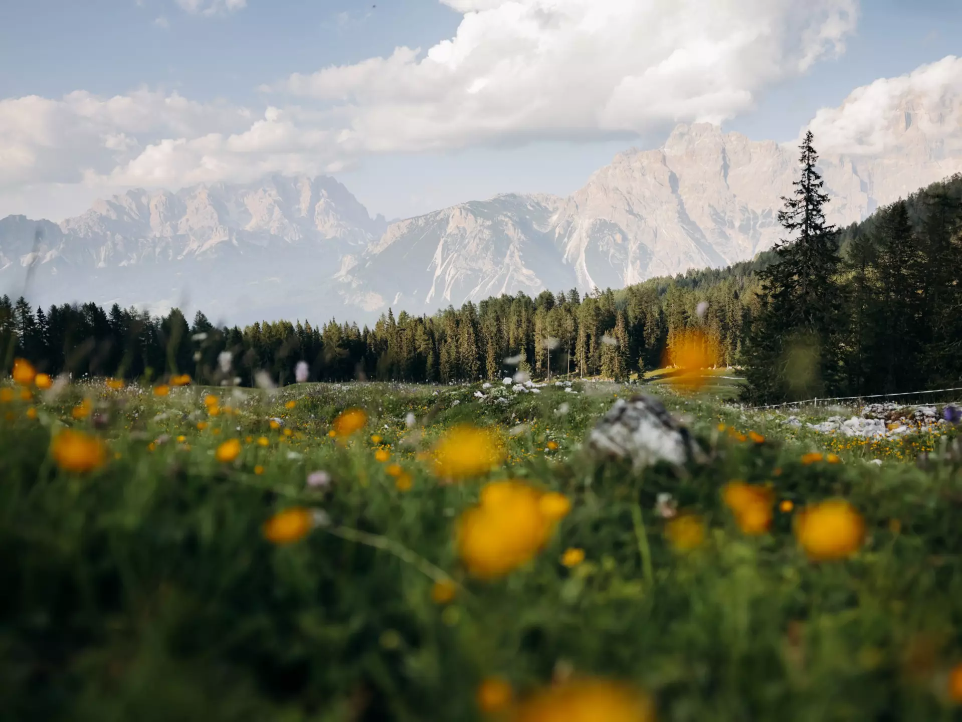 The Dolomites, near Cortina d'Ampezzo, Italy. Camilla Ferrari for Lonely Planet