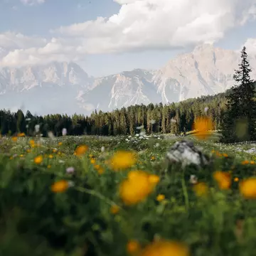 The Dolomites, near Cortina d'Ampezzo, Italy. Camilla Ferrari for Lonely Planet