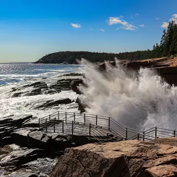 Crashing surf by a rocky coastline with evergreen trees.