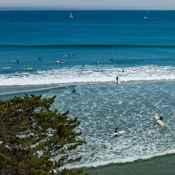 Surfers riding the waves at Cowell Beach, the main beach at Santa Cruz (vertical).