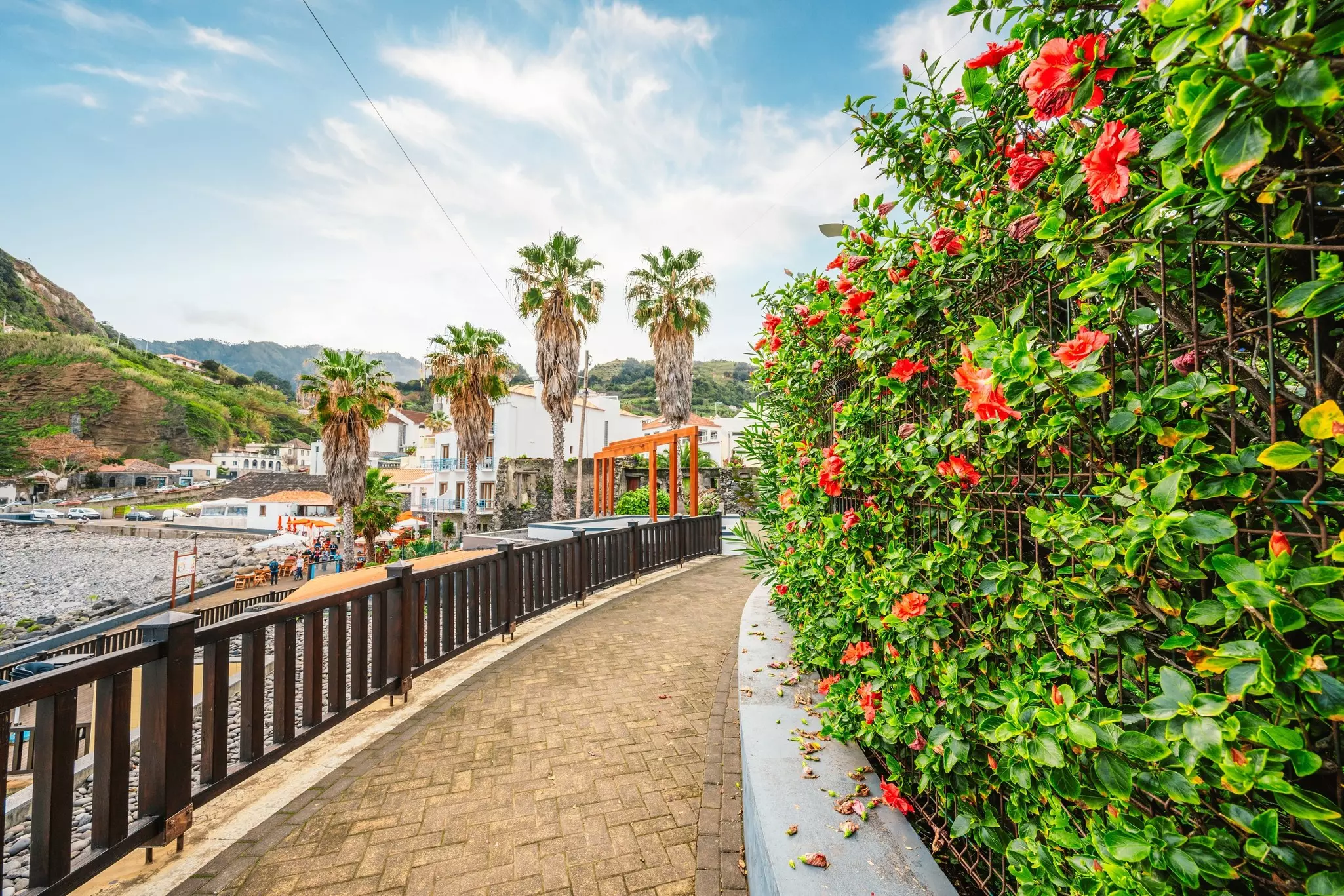 A walkway lined with palm trees and flowers leads to a rocky beach surrounded by whitewashed buildings
