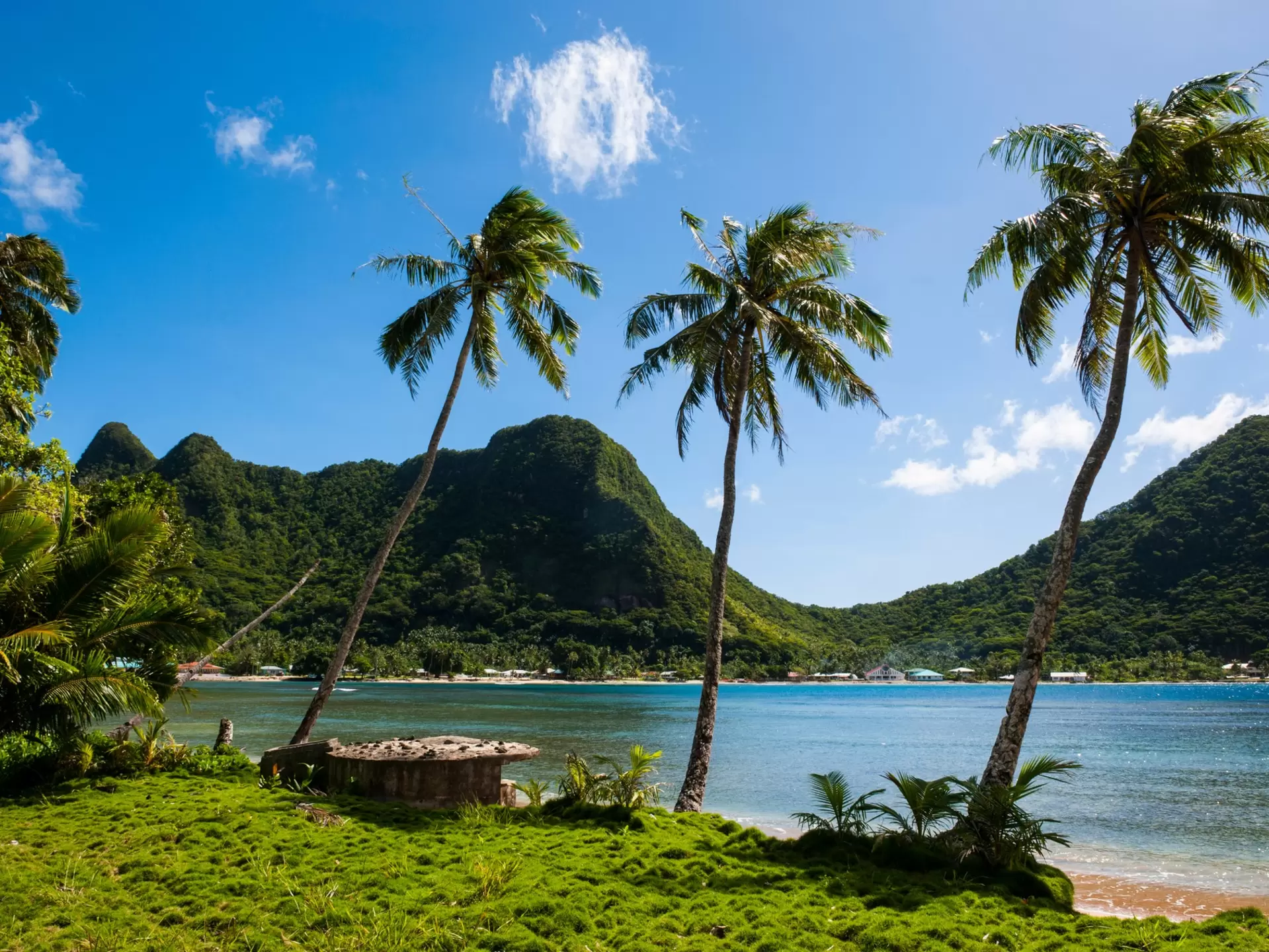 Palm trees along a beach with a view of two large, forest-covered hills across the water.