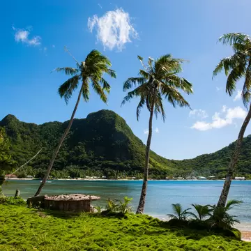 Palm trees along a beach with a view of two large, forest-covered hills across the water.