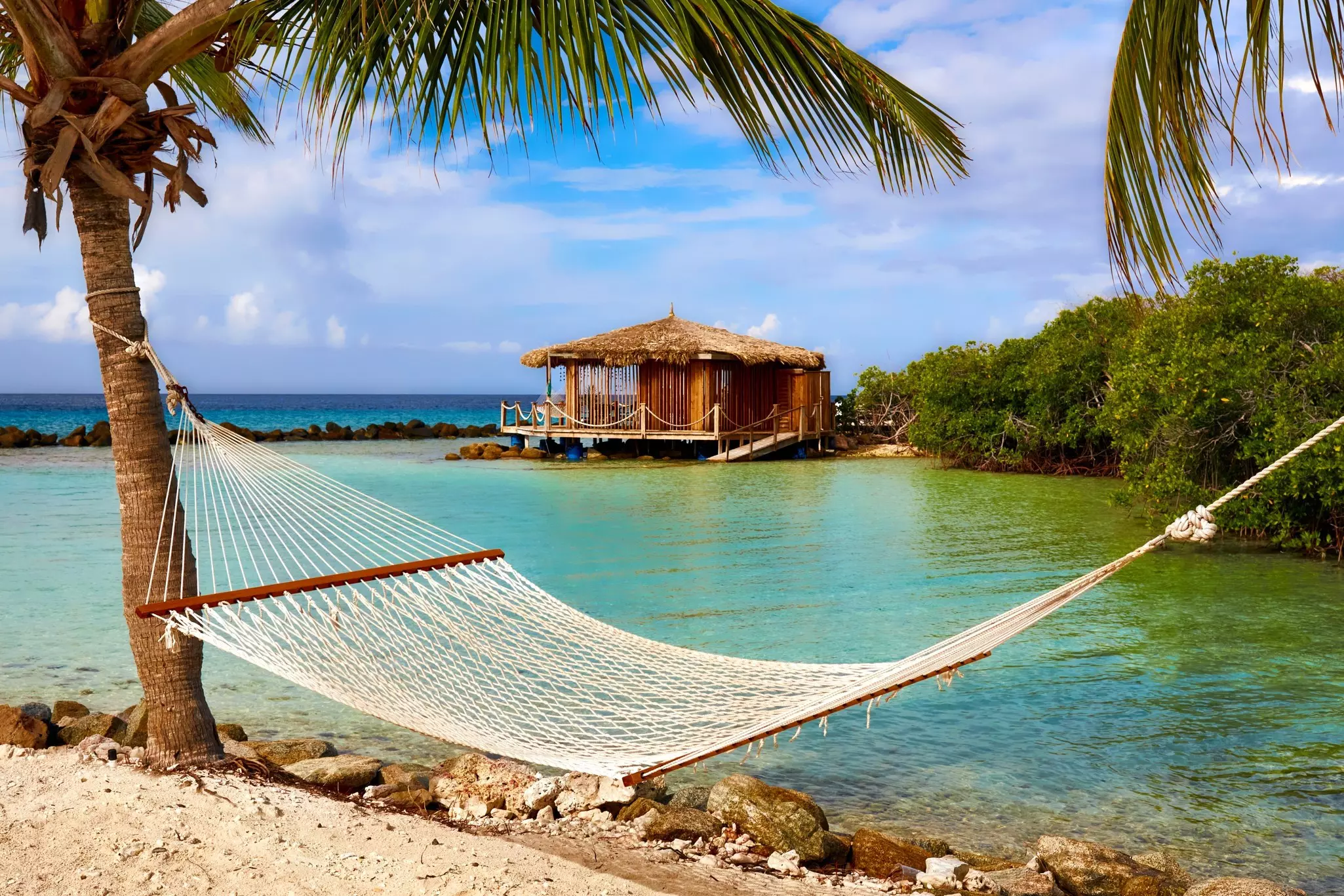 A hammock stretched between palm trees next to a lagoon in Aruba. Dana Bibeault/Shutterstock