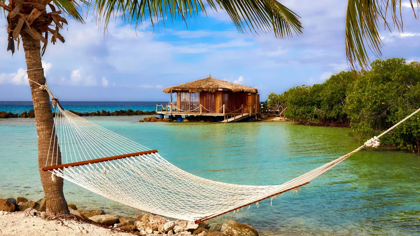 A relaxing view of a hammock beside the beach
