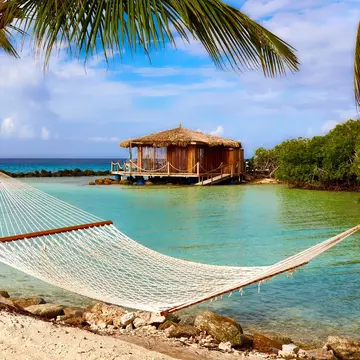 A relaxing view of a hammock beside the beach