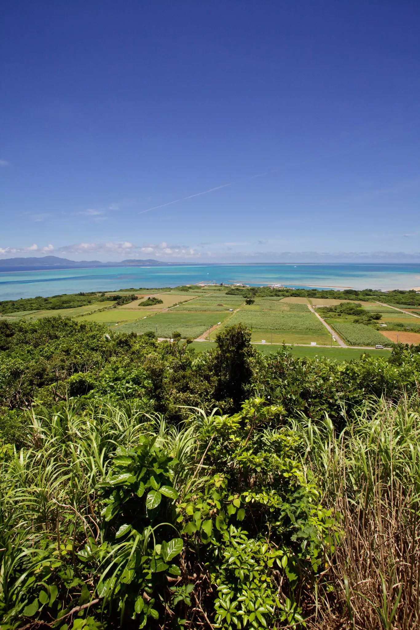Lush rural land viewed from an elevated viewpoint gives way to the ocean