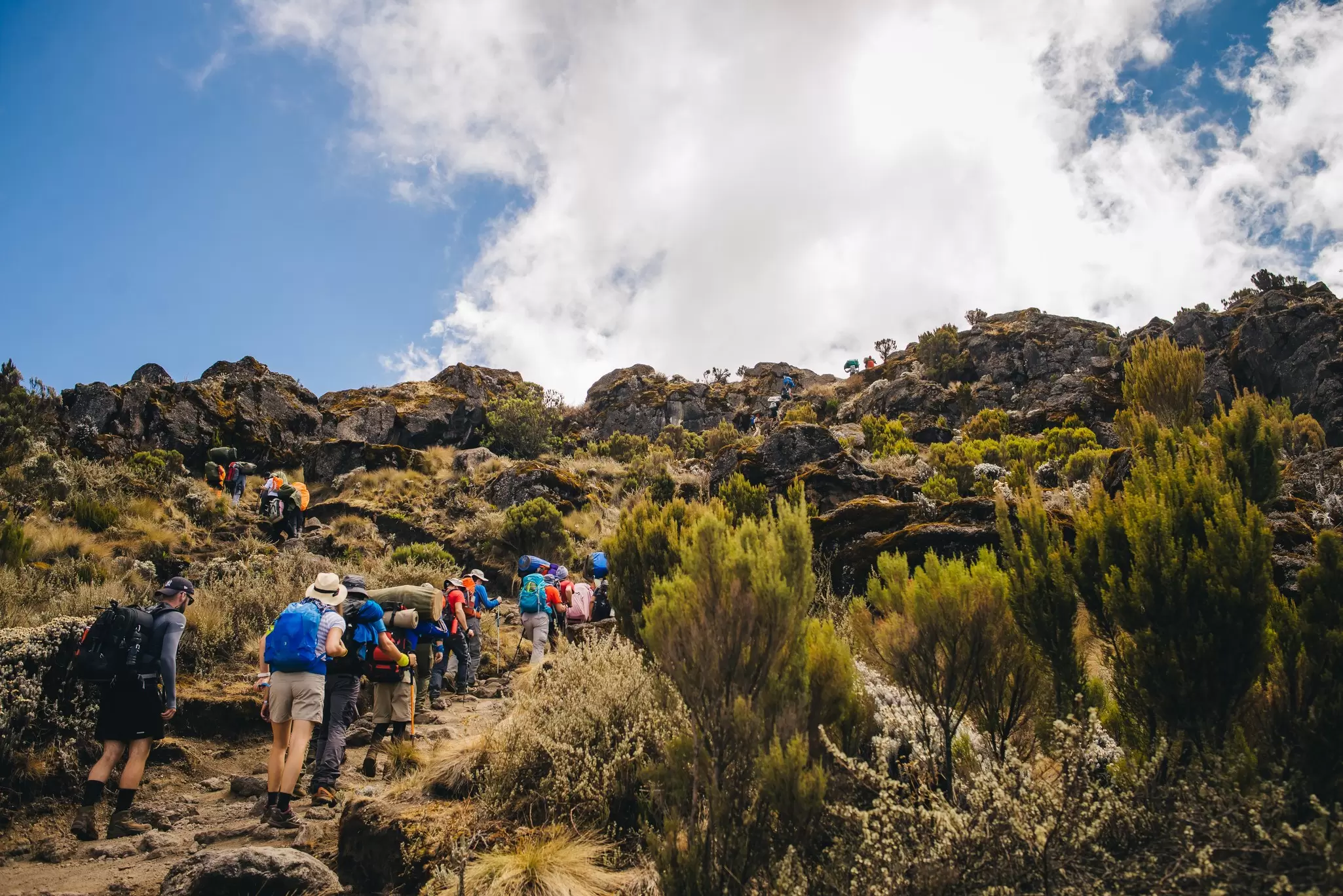 There's nothing quite like reaching the summit of a really tall mountain, like Kilimanjaro. Shutterstock
