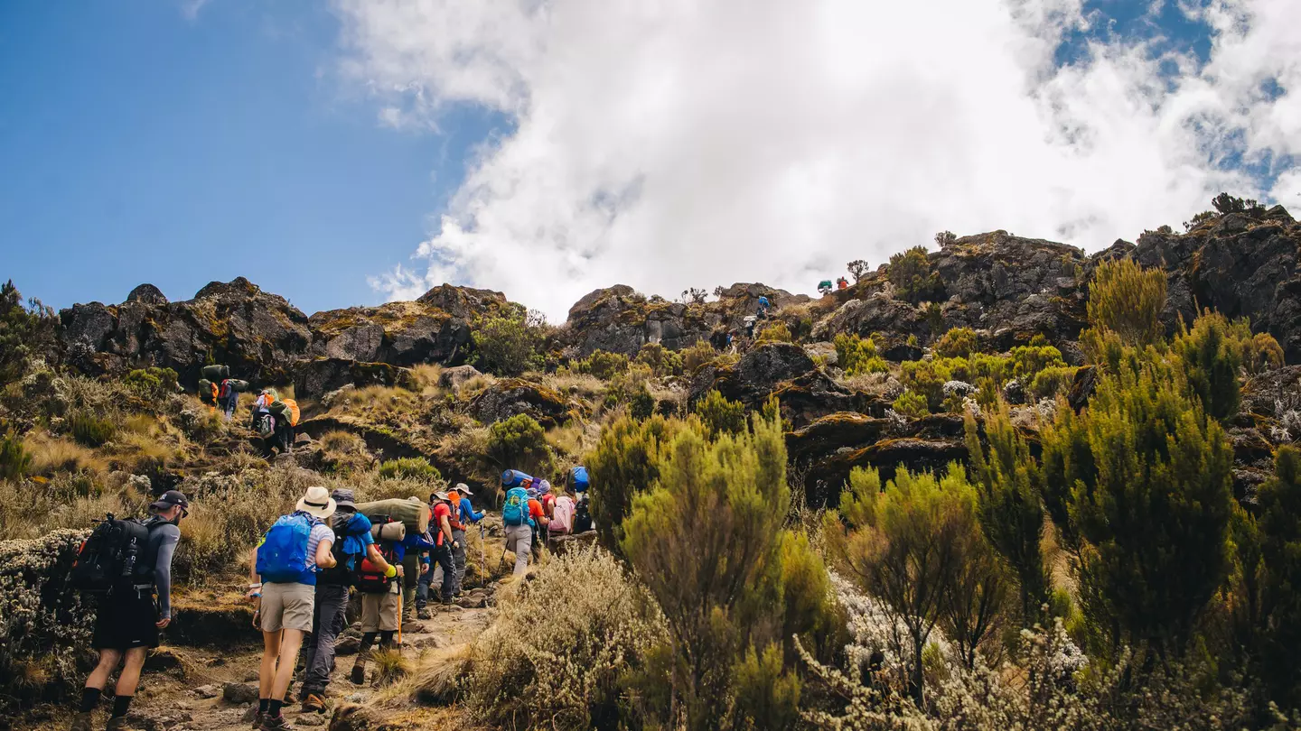 There's nothing quite like reaching the summit of a really tall mountain, like Kilimanjaro. Shutterstock