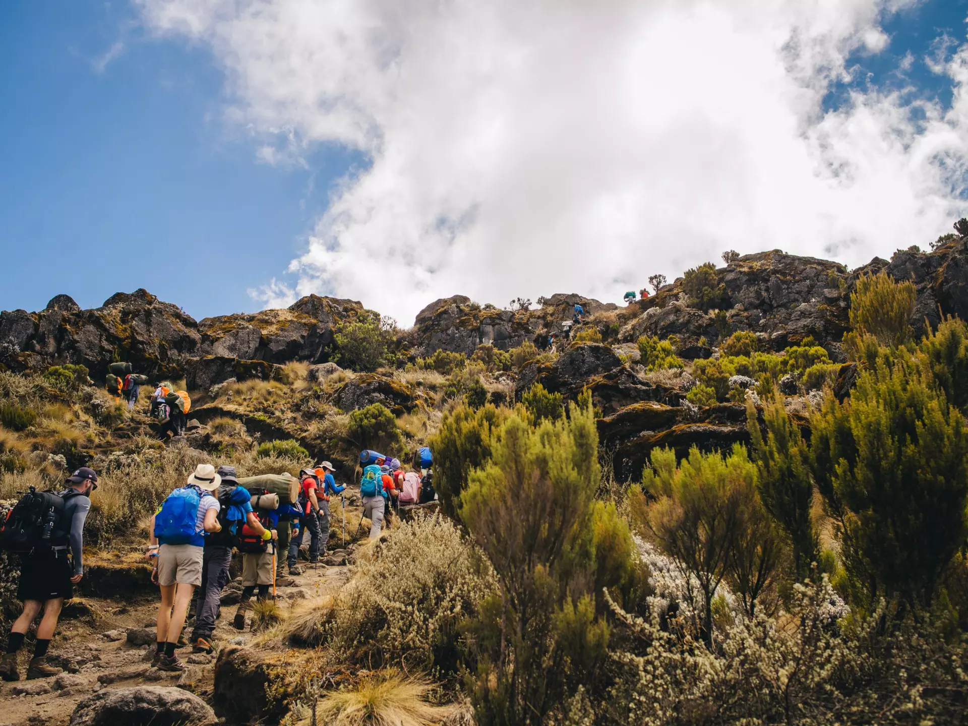 There's nothing quite like reaching the summit of a really tall mountain, like Kilimanjaro. Shutterstock