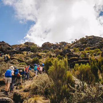 There's nothing quite like reaching the summit of a really tall mountain, like Kilimanjaro. Shutterstock