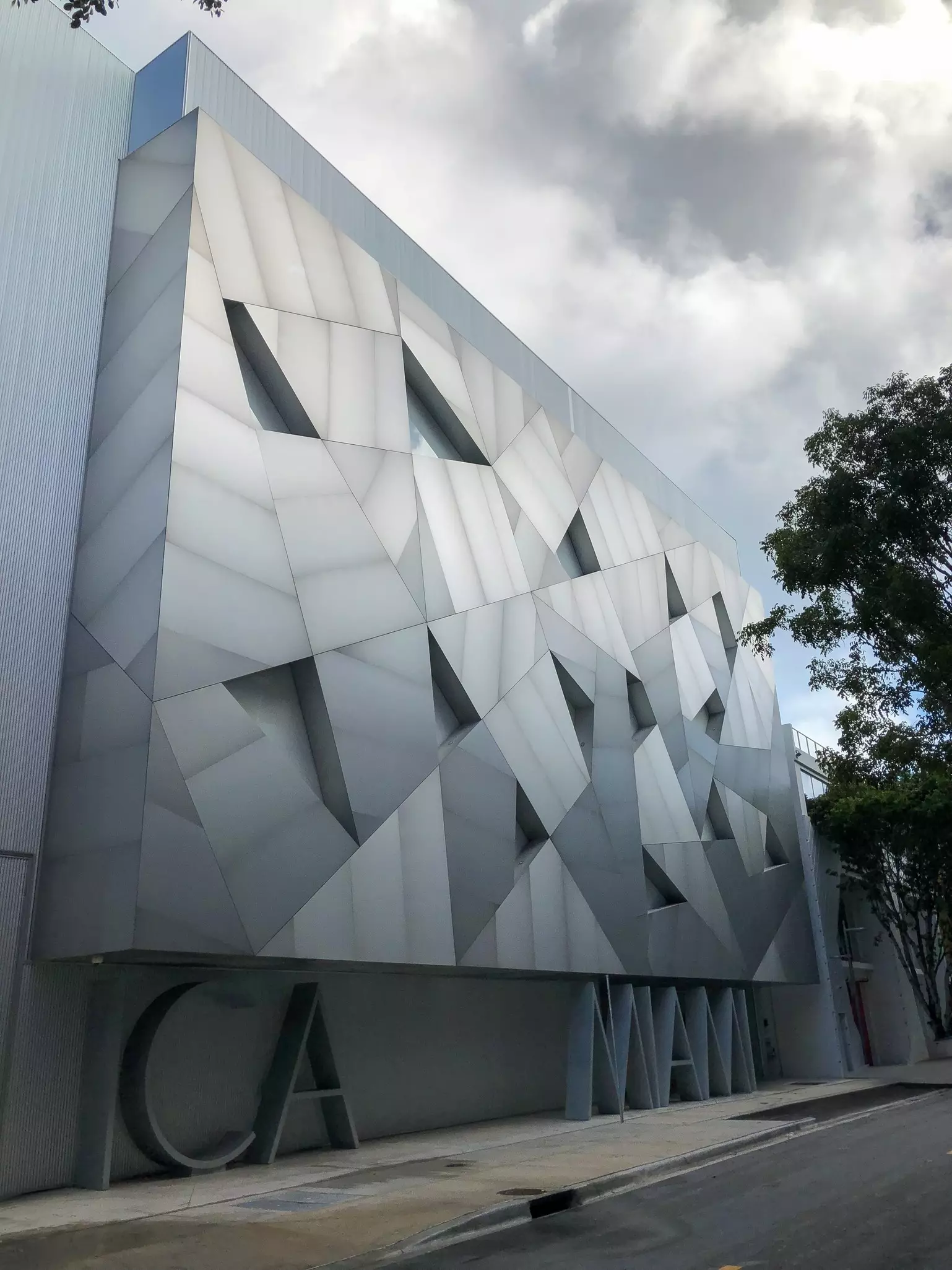 A dark gallery with a tree at the center