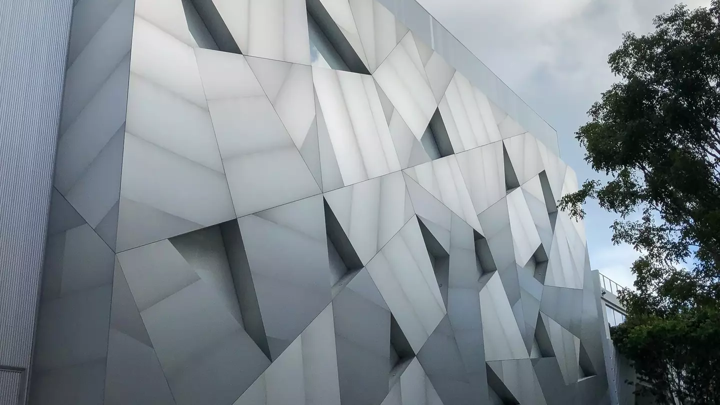 A dark gallery with a tree at the center