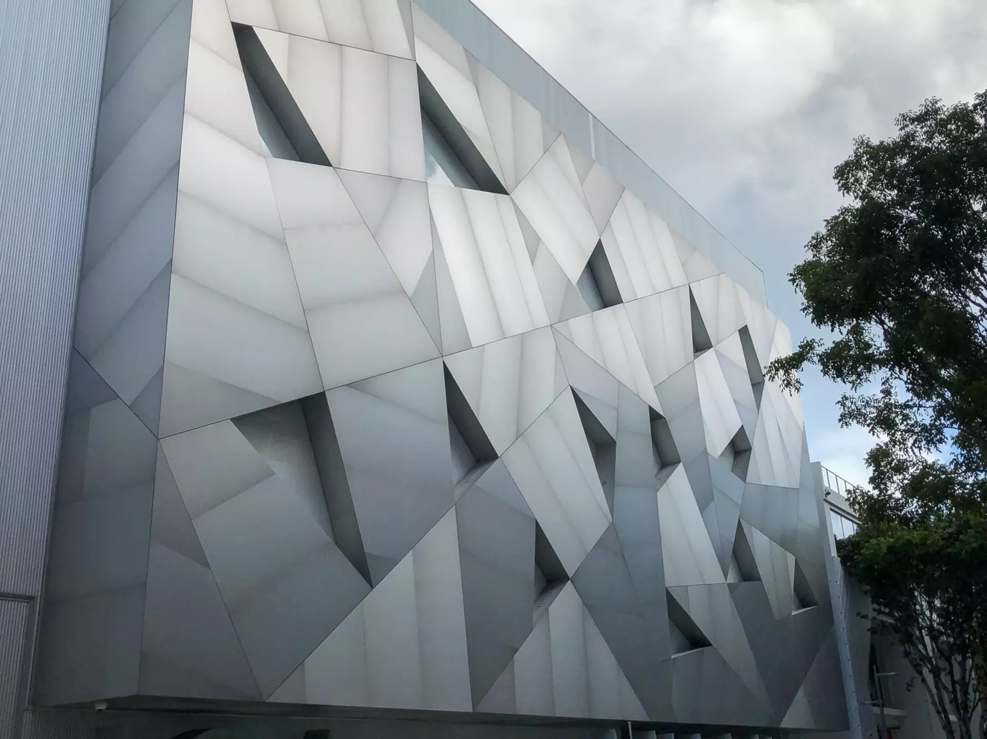 A dark gallery with a tree at the center