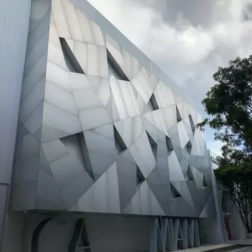 A dark gallery with a tree at the center