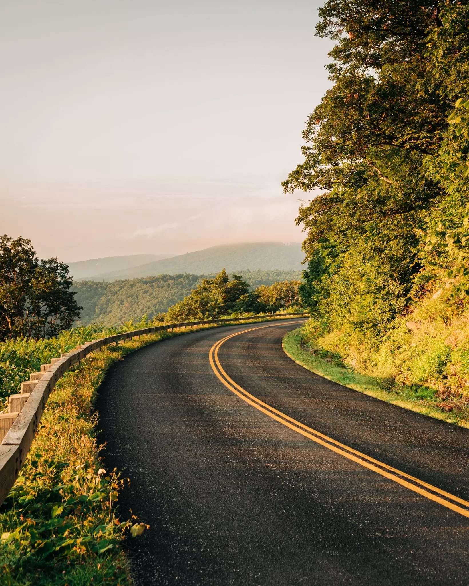A view of the foliage and roadway of the Blue Ridge Parkway in Afton, Virginia. 