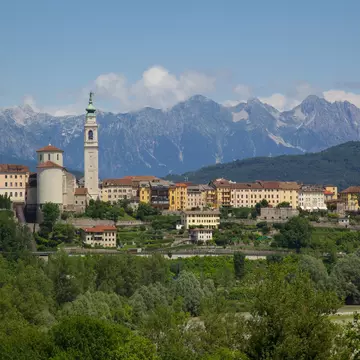 View of town and Duomo of San Martino, Belluno, Province of Belluno, Veneto, Italy, Europe
