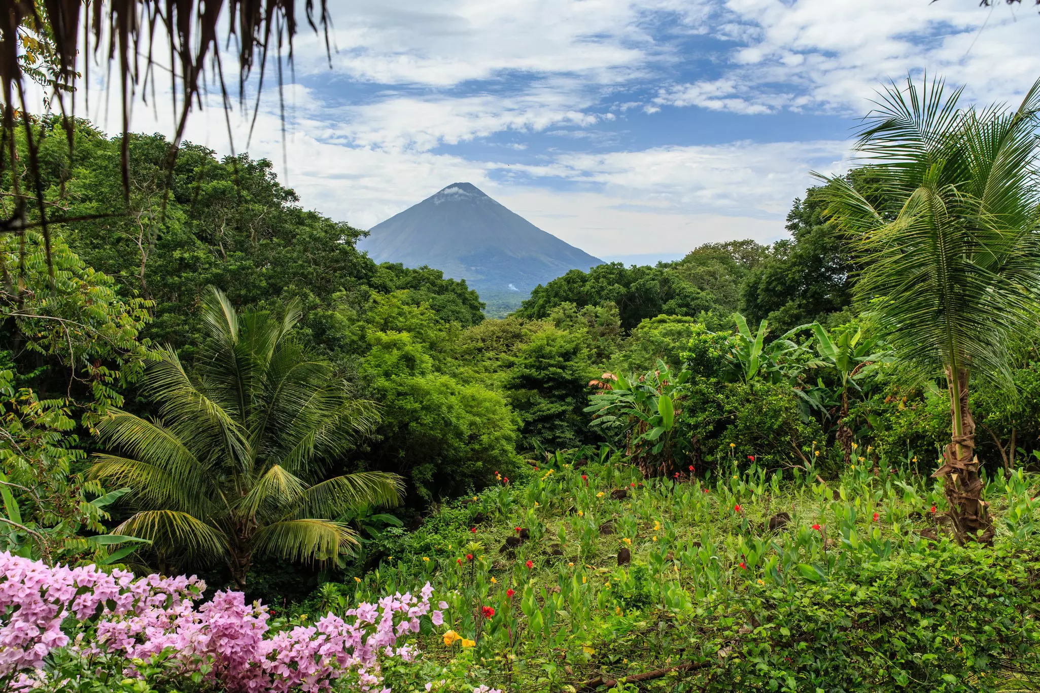 Palm trees and lush vegetation overlooked by a pointed volcano.