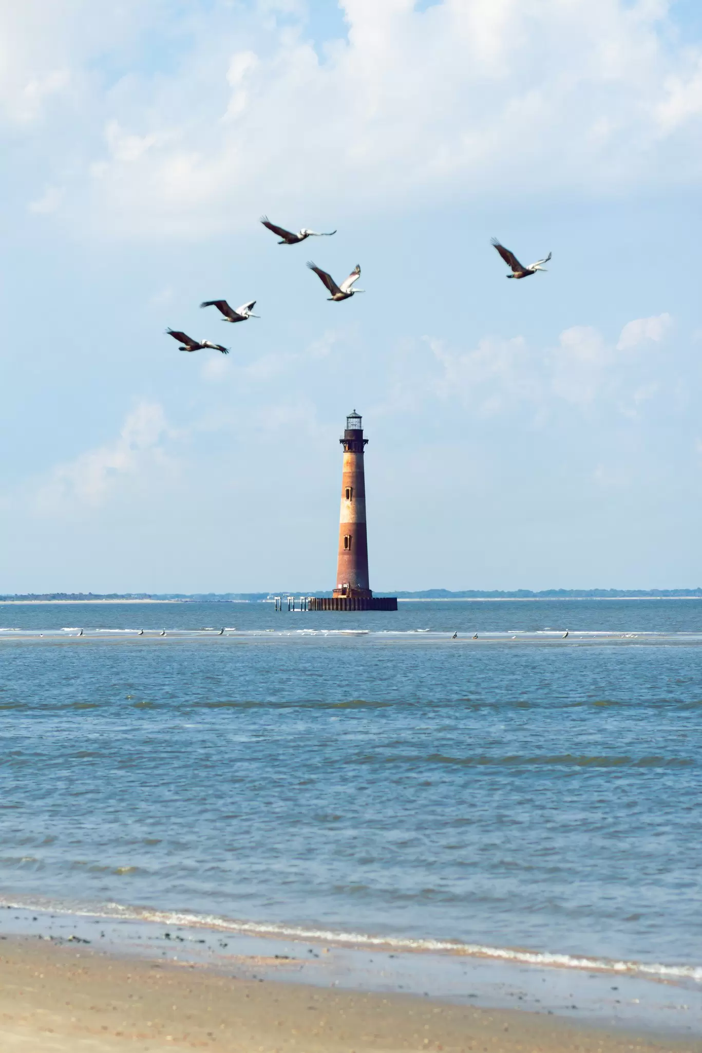 Morris Island Lighthouse near Folly Beach, South Carolina with flying seagulls, License Type: media, Download Time: 2025-01-30T20:49:01.000Z, User: katelyn.perry_lonelyplanet, Editorial: false, purchase_order: 65050 - Digital Destinations and Articles, job: Lonely Planet WiP, client: Lonely Planet WiP, other: Katelyn Perry